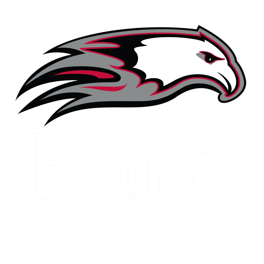 Bard College